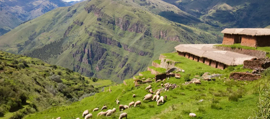 Huchuy Qosqo Inca Site - Wayna Trekkers