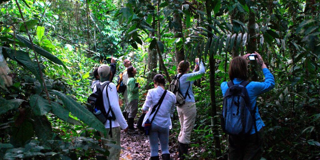 Tourism & Biodiversity, friend or foe?