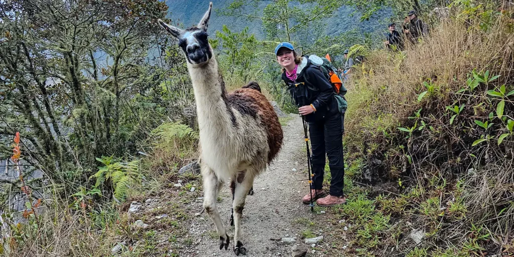 Inca Trail to Machu Picchu 5 Days