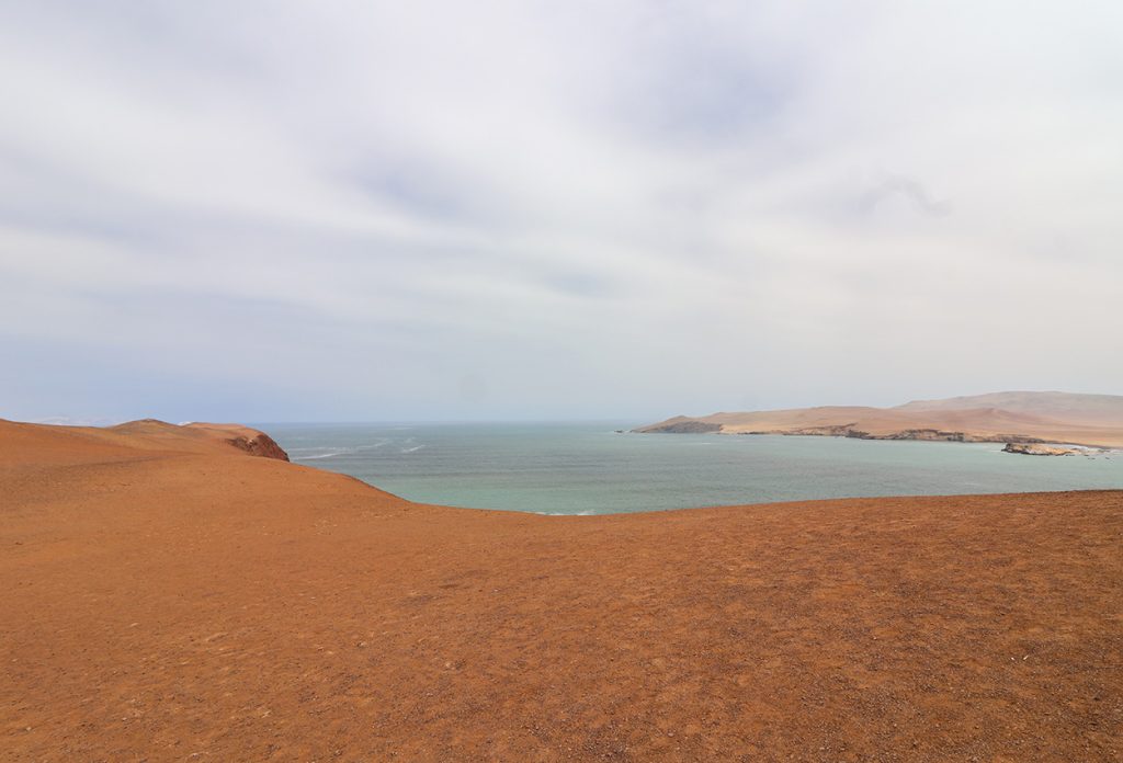 Paracas Reserve