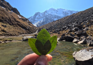 Salkantay trek