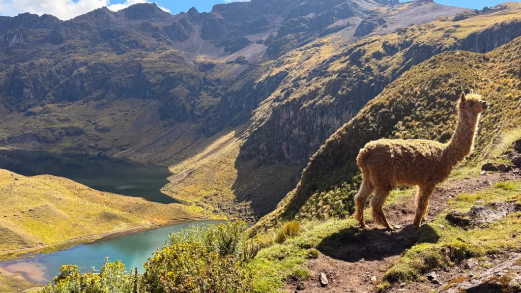 Best 1-Day Treks from Cusco: Explore the beauty of the Andes in one Day