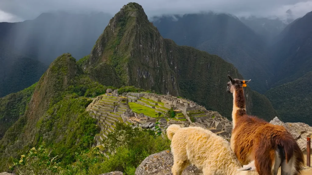 machu picchu in the afternoon - Wayna trekkers