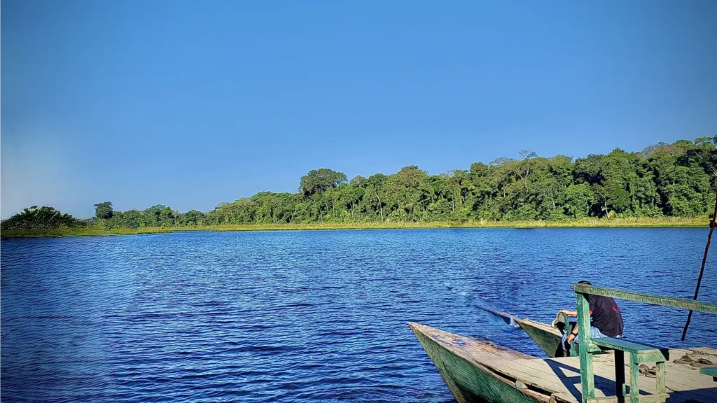 The Amazon Rainforest